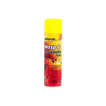 Wasp Spray - 16 oz. Foam